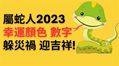 屬蛇幸運顏色2023|属蛇什么颜色是吉祥色，2023最吉利颜色！